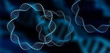 A Scalable Miniature Circular dsDNA System with Applications in Gene & Cell Therapy
